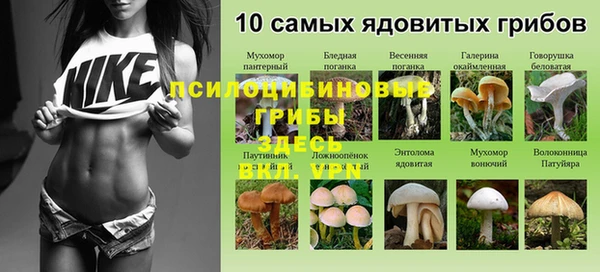 ECSTASY Остров